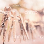 Directory-Blog-Post-25
