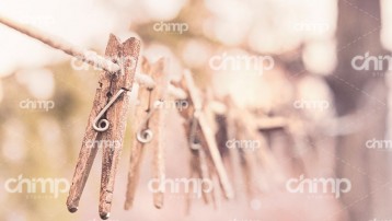 blog-grid
