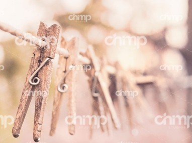 blog-grid